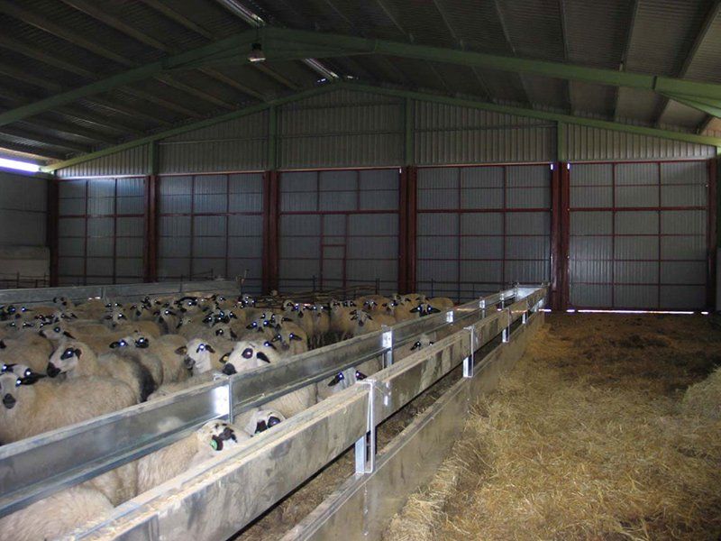 Agrónomo para tramitación ambiental