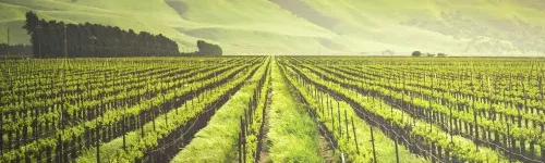 topógrafos agrarios