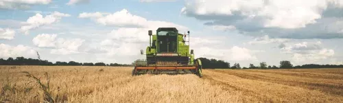 Ayudas para jóvenes agricultores