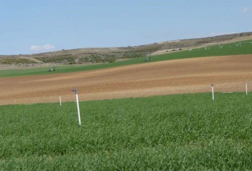 Ingeniero para pozos y sondeos