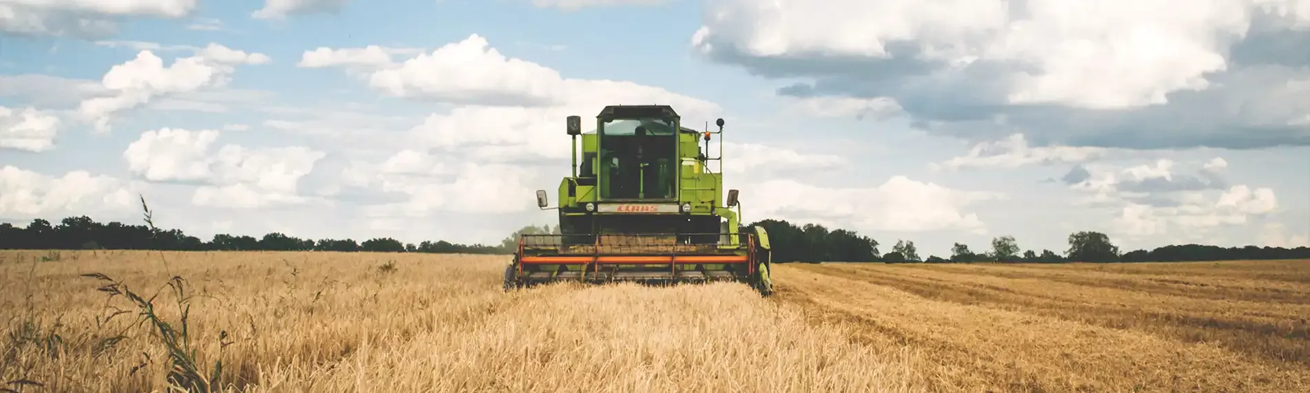 Ayudas para jóvenes agricultores
