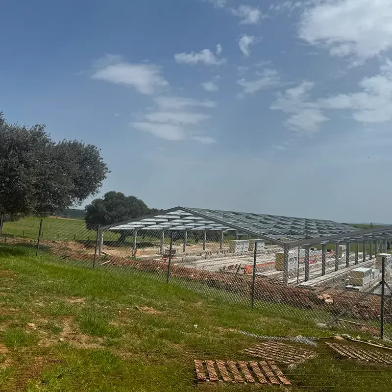 Desarrollo de proyectos agrarios